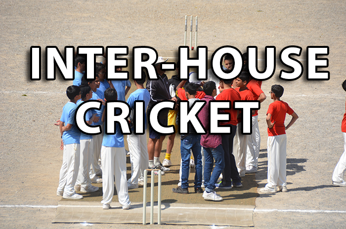 Inter-house cricket